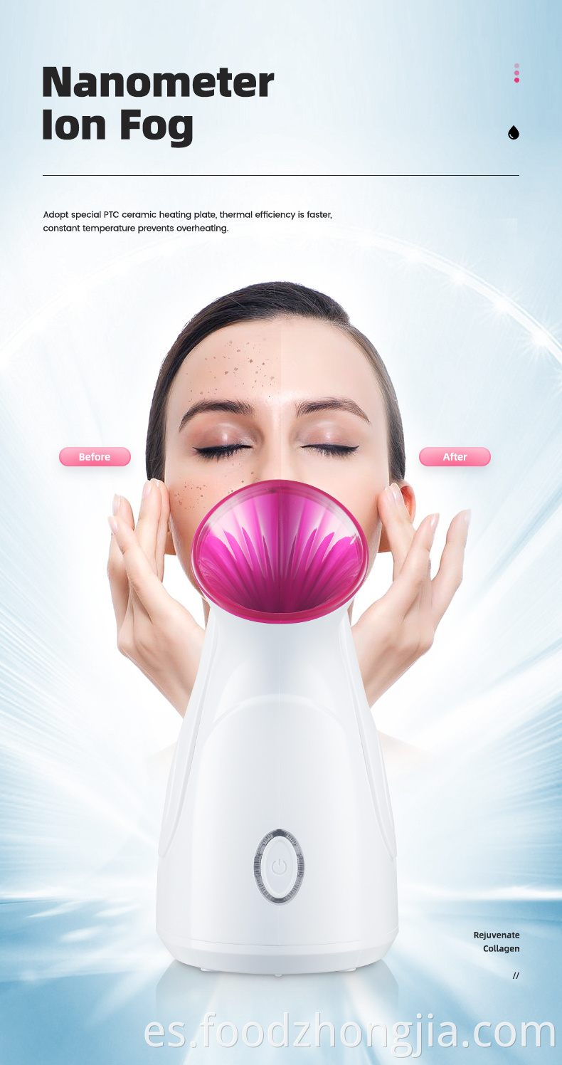 3 en 1 Vapor facial Benice Face Steam Antronic Vender bien Tipo Nuevo Applio de casa Humidificador facial para el hogar